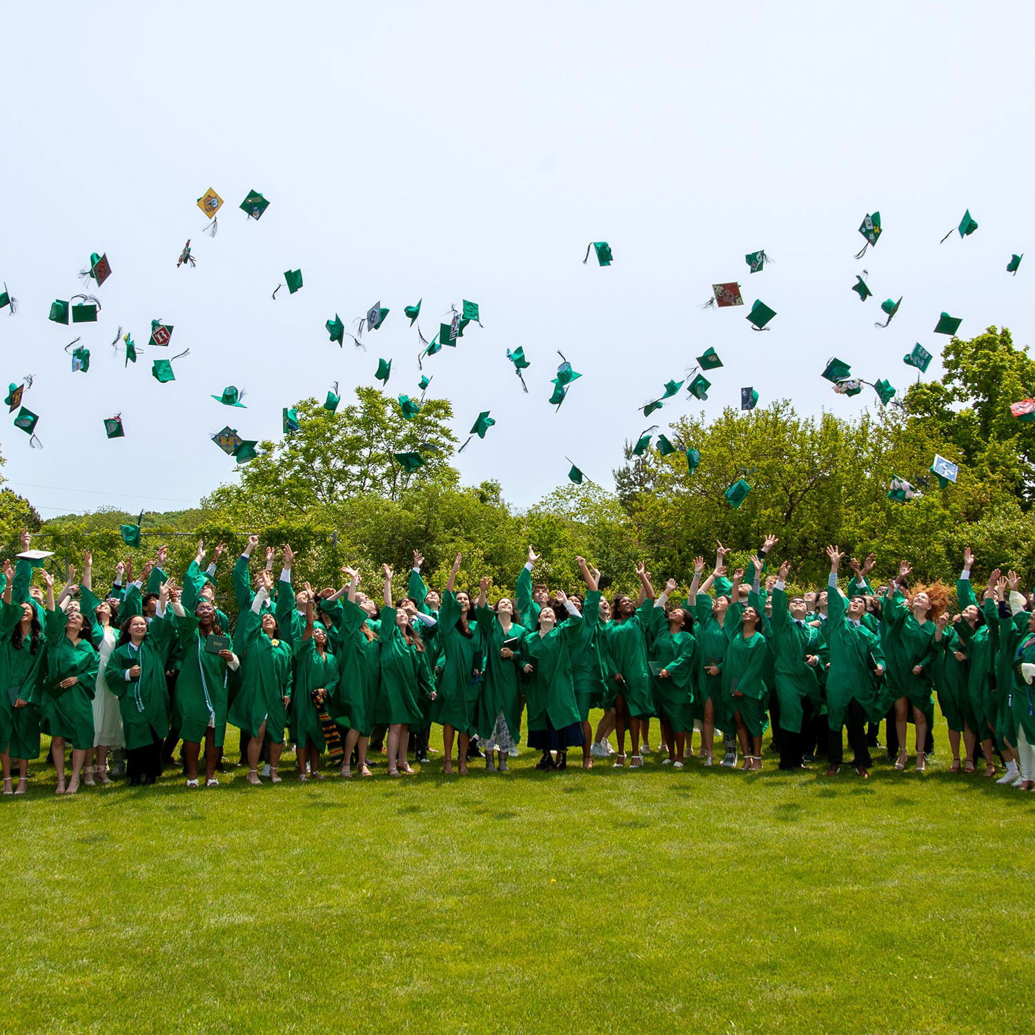 home-colleges-mobile